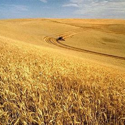 Quotidiano Agrisole Il Sole 24 Ore